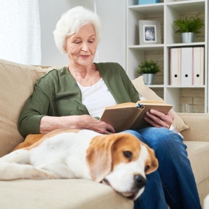 pets_article_300x300